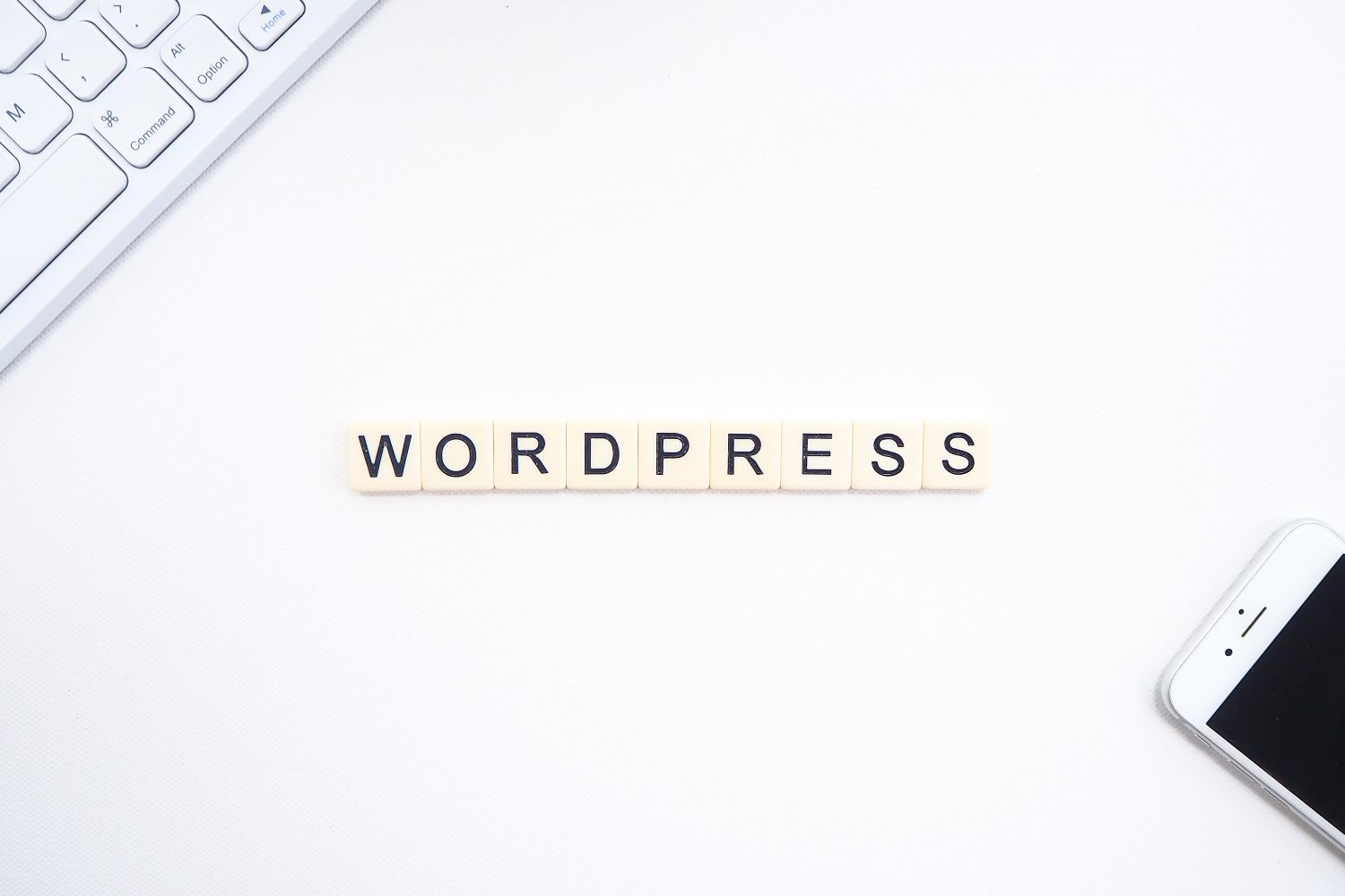 WordPress Website Tips To Have It Stunning Fast In 2022