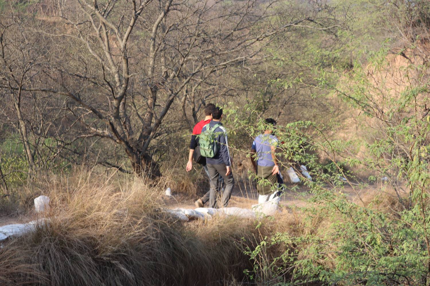 nepli forest trek