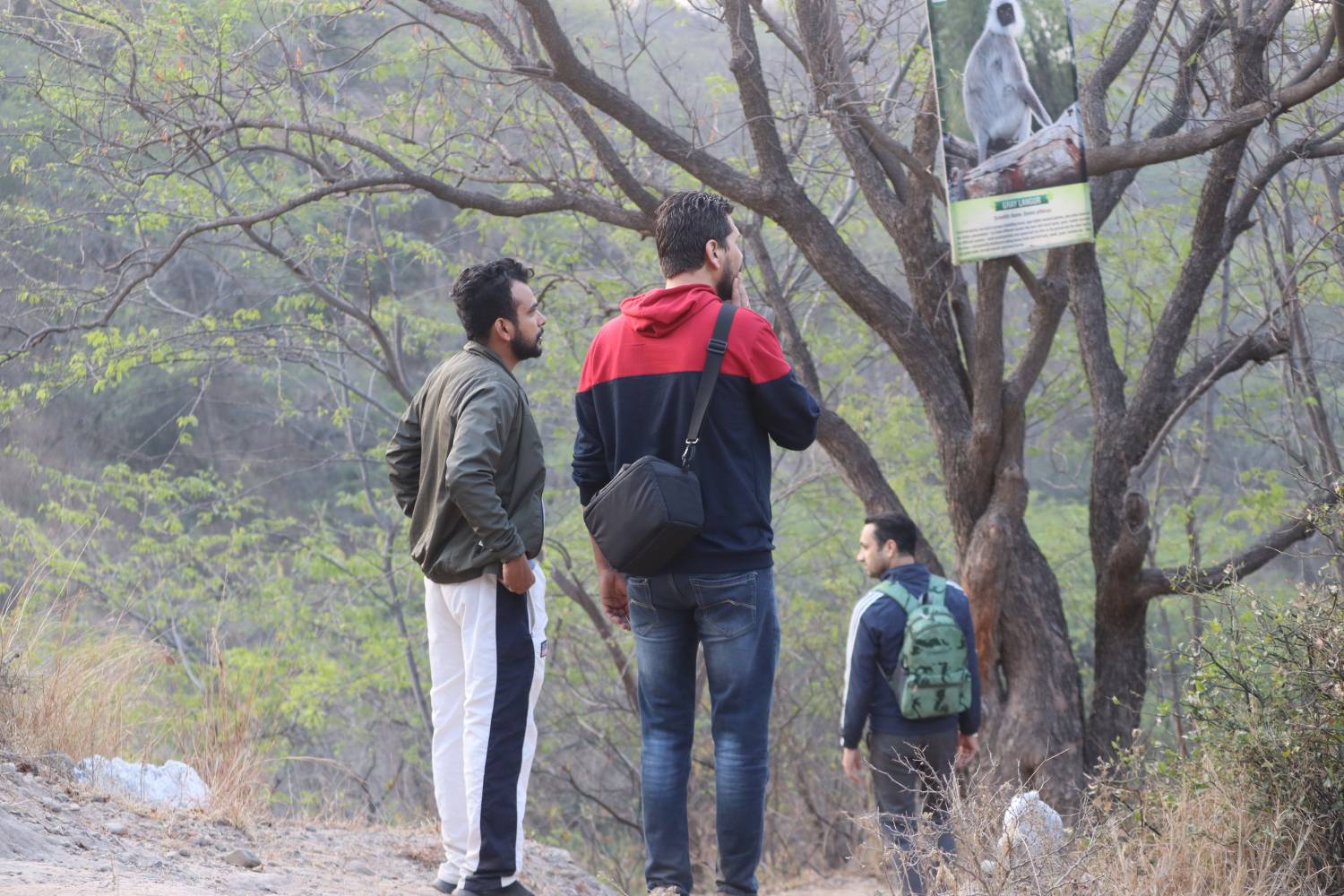 nepli forest trek